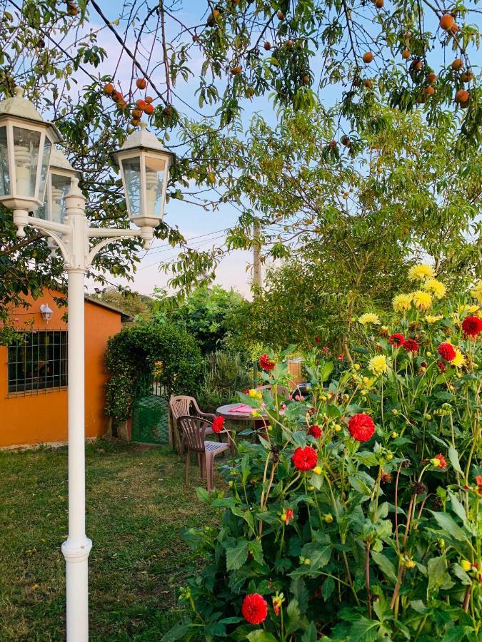 Vivienda Vacacional El Majo Siero Exteriör bild